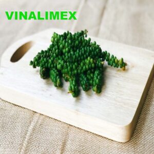 Hạt tiêu xanh chất lượng cao nhà trồng