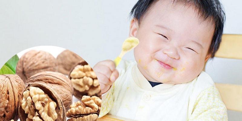 Ăn hạt óc chó có thông minh không