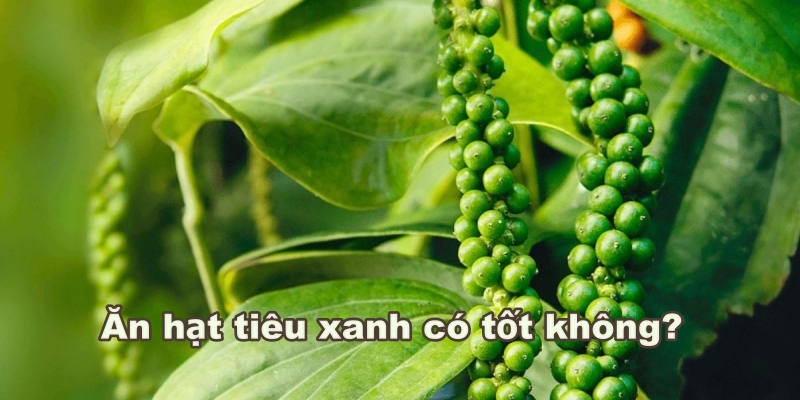 Ăn hạt tiêu xanh có tốt không?