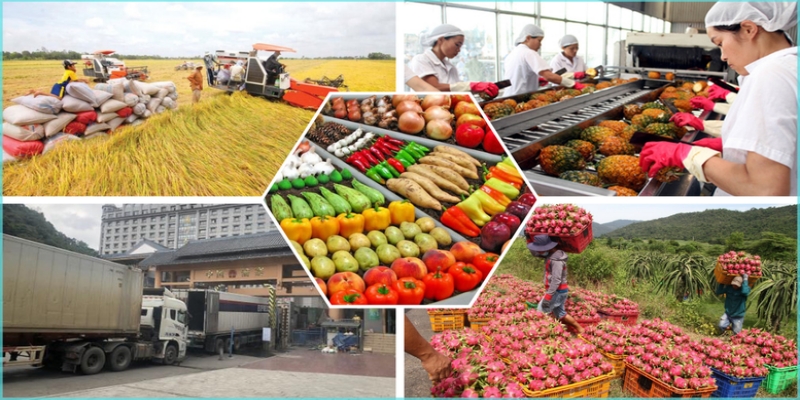Bảo quản đúng cách sẽ giúp nguyên liệu giữ trọn dinh dưỡng