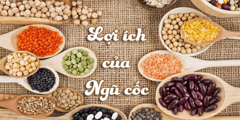 Bột ngũ cốc dinh dưỡng các loại hạt