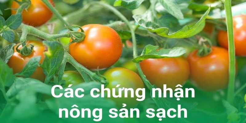 Các chứng nhận nông sản sạch tại Việt Nam