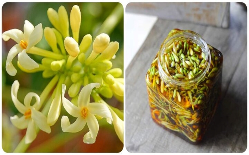 Cách làm hoa đu đủ đực ngâm mật ong