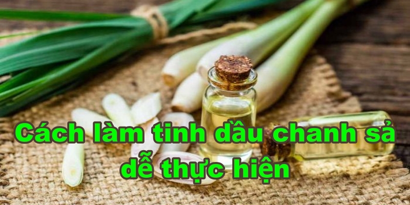 Cách làm tinh dầu chanh sả đuổi muỗi rất dễ hiểu, dễ thực hiện