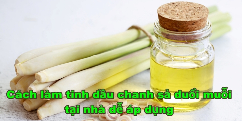 Cách làm tinh dầu chanh sả đuổi muỗi tại nhà siêu dễ áp dụng