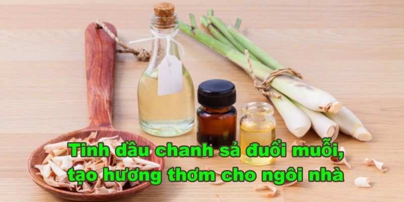 Cách làm tinh dầu chanh sả đuổi muỗi còn cho ra dầu thơm cho không gian nhà