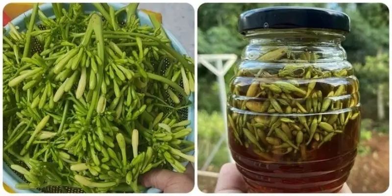 Cách ngâm hoa đu đủ đực với mật ong