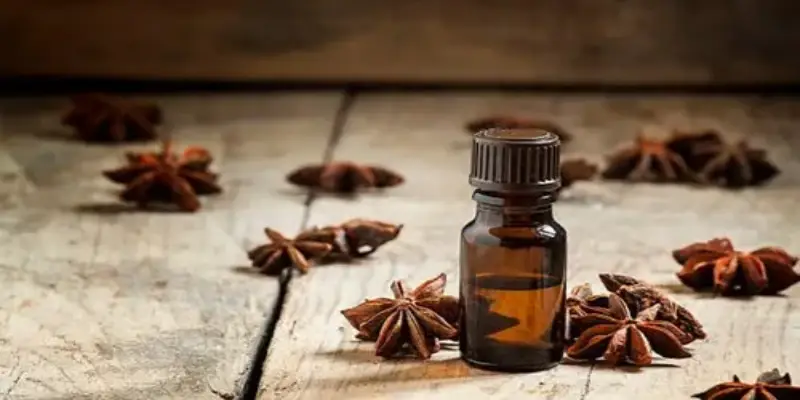 Có nhiều phương pháp ứng dụng tinh dầu từ đại hồi