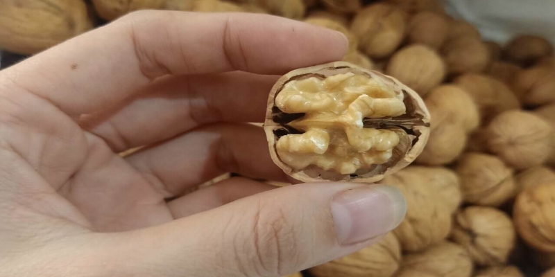 Dù cần nguồn hạt giá rẻ nhưng đừng quá lơ là chất lượng