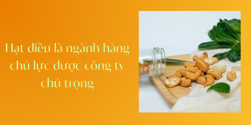 Hạt điều là ngành hàng chủ lực được công ty chú trọng