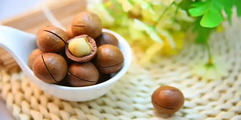 Hạt macca Úc có tác dụng gì với sức khỏe?