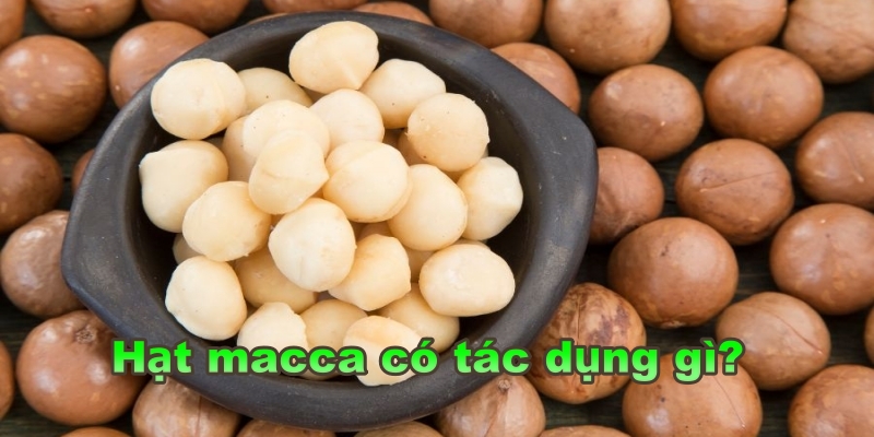 Hạt macca Úc có tác dụng gì