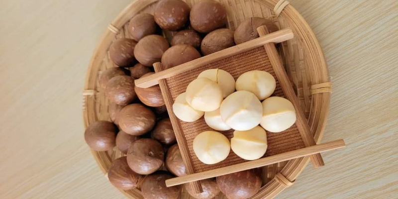 Hạt macca Úc tách vỏ được xử lý cẩn thận để giữ giá trị dinh dưỡng