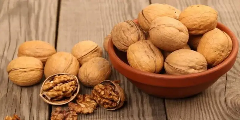 Hạt óc chó Alesto Đức