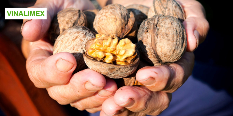Hạt óc chó giàu dinh dưỡng giúp cơ thể khỏe đẹp từ sâu bên trong