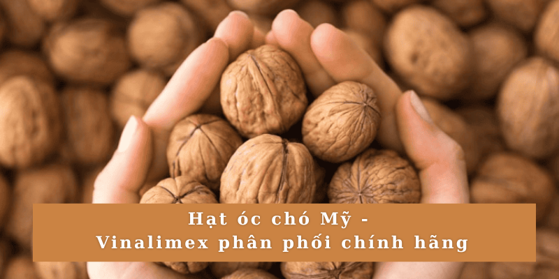 Hạt óc chó Mỹ - Vinalimex phân phối chính hãng