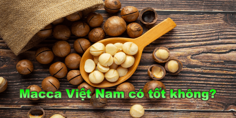 Macca Việt Nam có tốt không?
