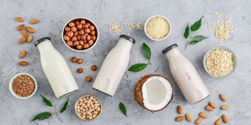 Muốn mix hạt làm sữa chuẩn phải hiểu thành phần của chúng