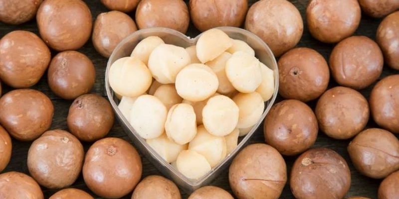 Nên ăn mấy hạt macca mỗi ngày cần được giải đáp chuẩn