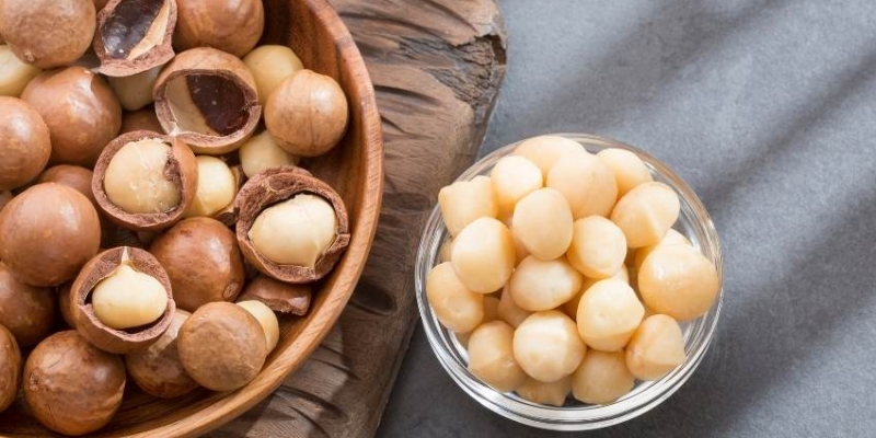 Nên ăn mấy hạt macca mỗi ngày