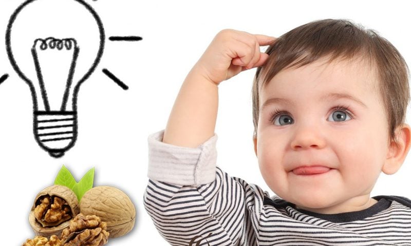 Kết hợp hạt óc chó trong khẩu phần ăn của gia đình