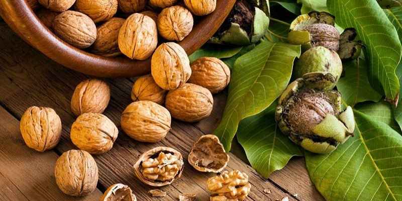 Nguồn dinh dưỡng toàn diện, giàu omega của hạt óc chó rất tốt cho cơ thể