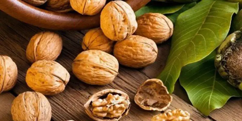 Óc chó Mỹ chính hãng nổi bật với hàm lượng omega-3 cao
