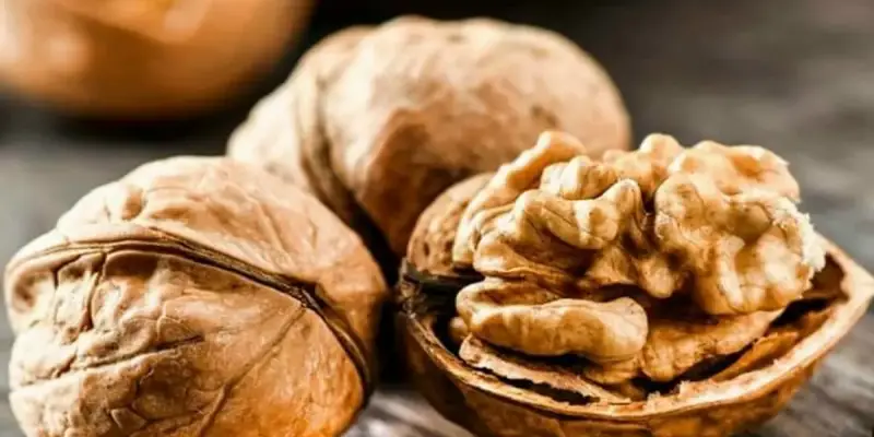 Siêu hạt mang lại nguồn dưỡng chất dồi dào cho cơ thể