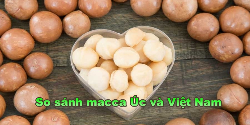 So sánh macca Úc và Việt Nam