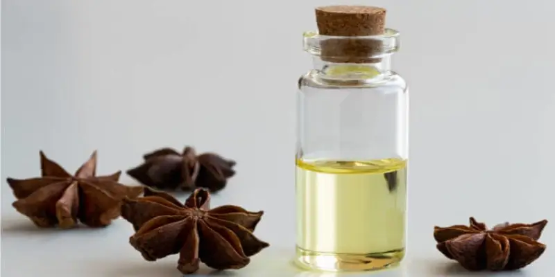 Sự khác biệt từ sản vật đặc trưng của xứ Lạng