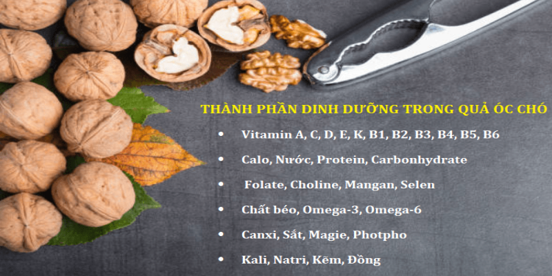 Thành phần là câu trả lời cho thắc mắc hạt óc chó ăn có tác dụng gì