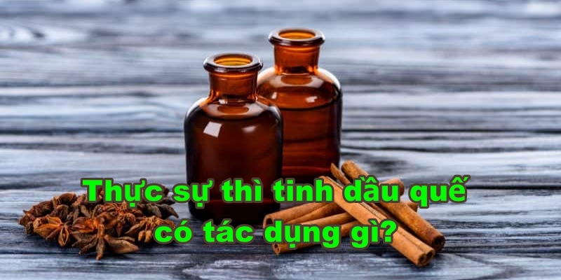 Thực sự thì tinh dầu quế có tác dụng gì?