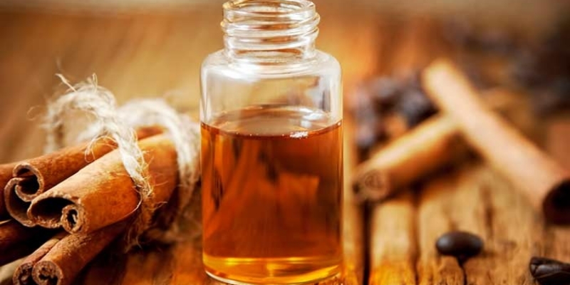 Tinh dầu cây quế là nguyên liệu gì?