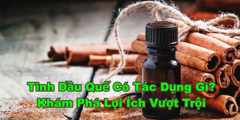 Tinh Dầu Quế Có Tác Dụng Gì? Khám Phá Lợi Ích Vượt Trội