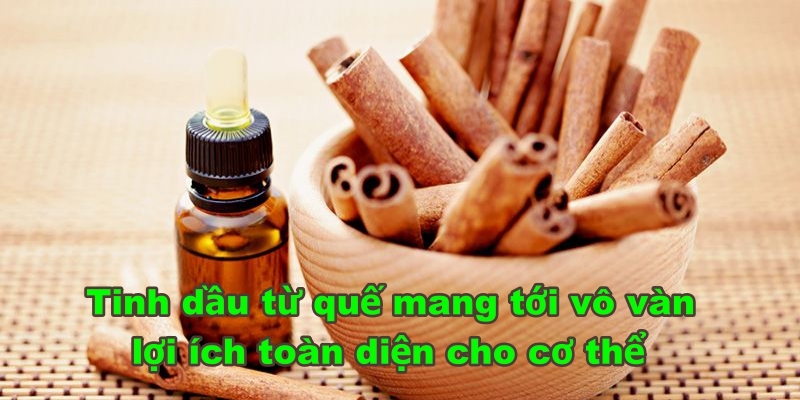 Tinh dầu từ quế mang tới vô vàn lợi ích toàn diện cho cơ thể
