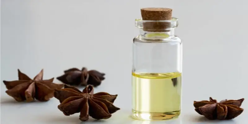 Vậy thực chất thì tinh dầu hồi có tác dụng gì?