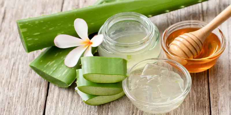 Ăn nha đam với mật ong có tác dụng gì