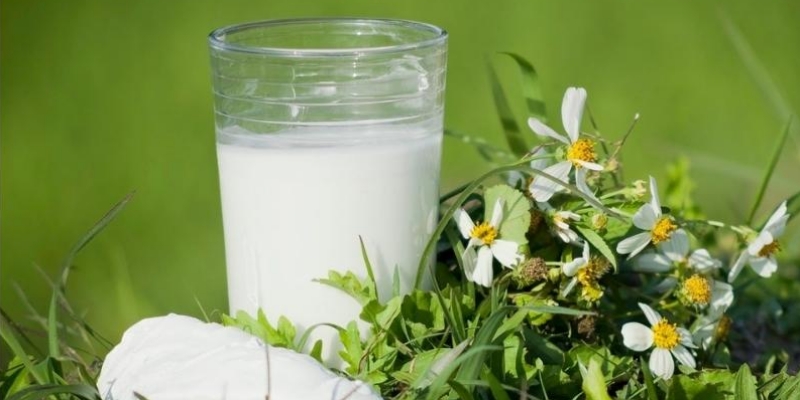 Mật ong ăn với bột sắn dây có tác dụng gì?