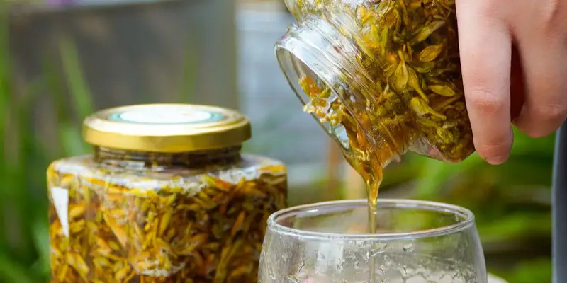 Tác hại của hoa đu đủ đực ngâm mật ong đang làm nhiều người lo lắng