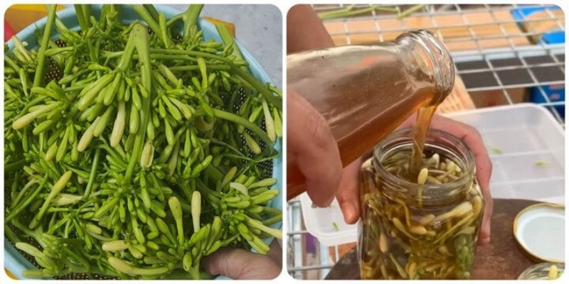 Tác hại của hoa đu đủ đực ngâm mật ong