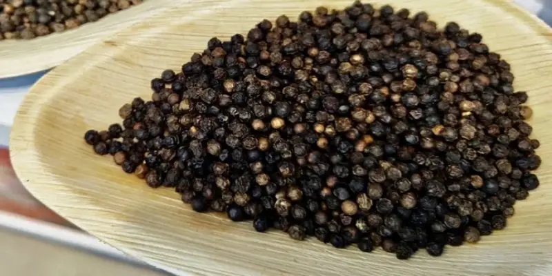 Ưu tiên bề dày và độ tin cậy của nơi chọn mua